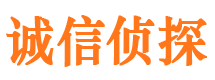 京山市侦探公司